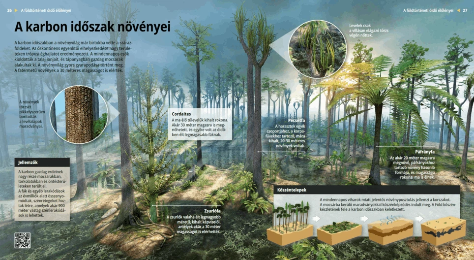 Растения каменноугольного периода