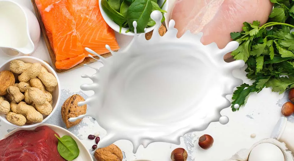 Proteins, the 'building blocks' of the human body