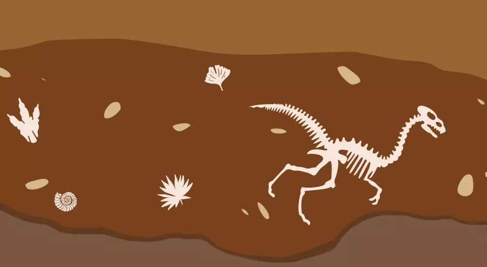 지구에서 생물체들이 어떻게 발전했을까?