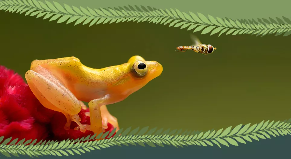 척추동물인가? 무척추동물인가?