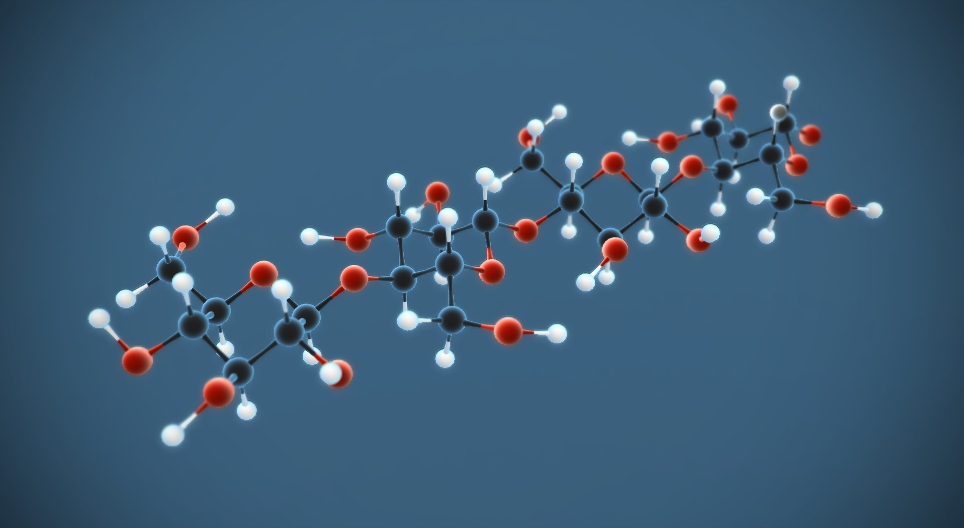 셀룰로오스 (C₆H₁₀O₅)n