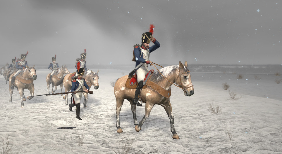 나폴레옹의 군사 (19세기)