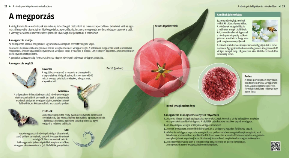 Pollination