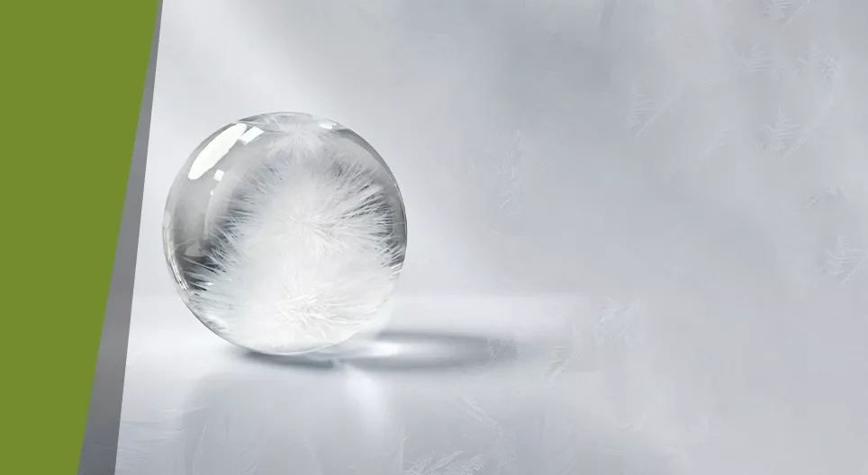 Jéglavina
