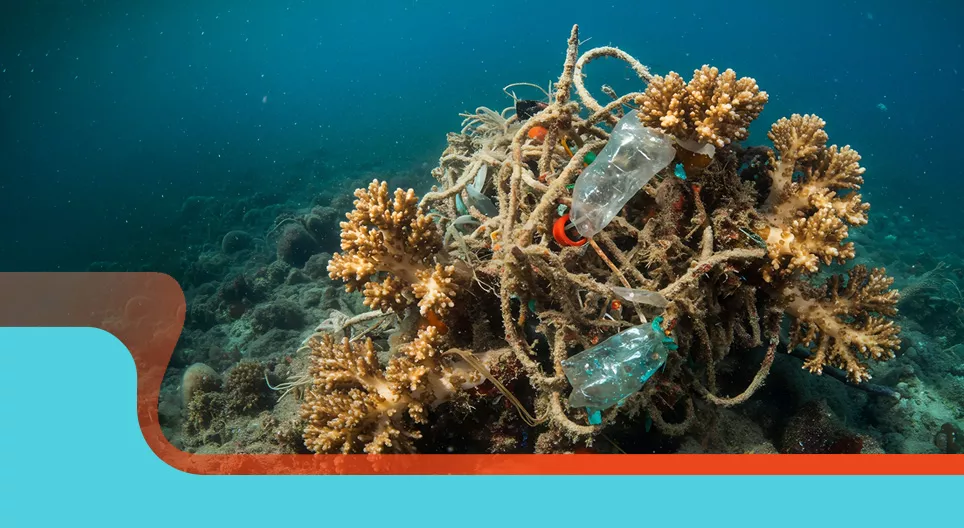 Environmental awareness