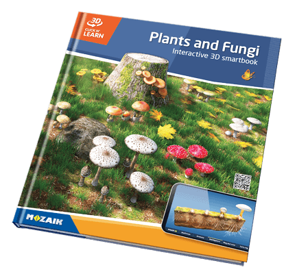 800 3D үзэгдэл бүхий 20 боть цуврал ном