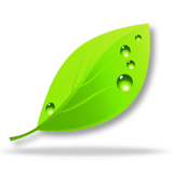 野生生物