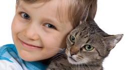 Hugging a cat