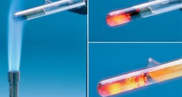 철분과 황 사이의 작용