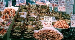 Морепродукты являются важным источником питания