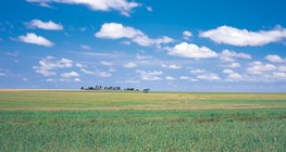 Wielka Nizina Węgierska