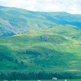 Legelésző juhok Nagy-Britanniában