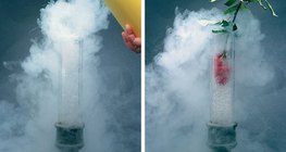 液态空气冻结了的花，更容易破碎。