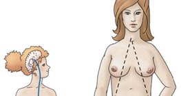 Hormonal regulation of oocyte 