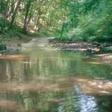 包科尼的踤哈溪（匈牙利）