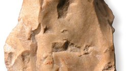 Pięściak (tłuk pięściowy)