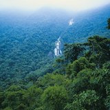 Tropikalne lasy deszczowe