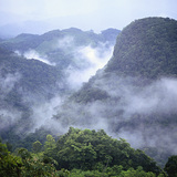 Lacandon Jungle