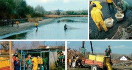 잉어연못의 관리