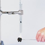 检查核桃仁的能量密度