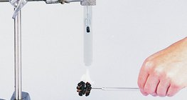 检查核桃仁的能量密度