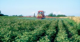 Niziny są najważniejszymi obszarami rolnictwa