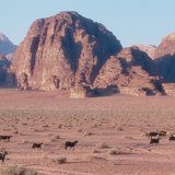 وادي