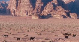 干谷，阿拉伯语中干涸的沙砾河床