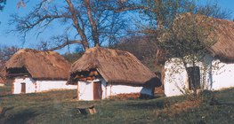 Domy kryte strzechą z trzciny