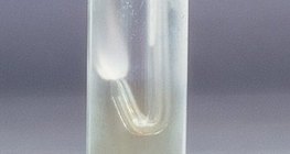 수소는 염소가스 속에서 계속 타올라요