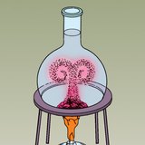 Demonstrating convective heat transfer with coloured water