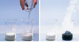 Reakcja stężonego kwasu siarkowego z cukrem