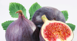 イチジク