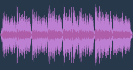 Johann Sebastian Bach - Pasja wg. św. Mateusza