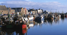 Statki rybackie w Dublinie