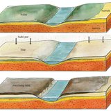 Mezőségi talaj kialakulásának tényezői