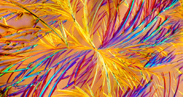 아미노필린 (약품)의 결정체