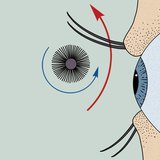 如何使用睫毛膏
