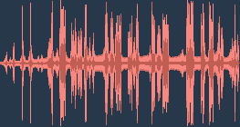 대륙검은지빠귀