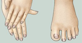 Properly groomed hands and feet