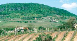 Uprawa równoległa do zbocza zwiększa erozję