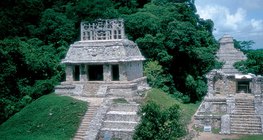 Tropikalny las deszczowy z pozostałościami prastarej kultury