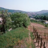 A Szekszárdi-dombság a Dunántúli-dombság része