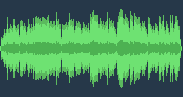 지아코모 푸치니: 비 부인