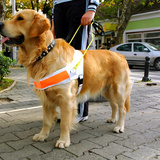 Guide dog