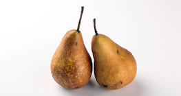 Pears