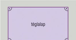 Négyzet és téglalap