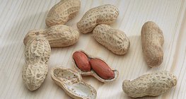 땅콩