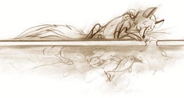 Zwierzęta wodne w zimowe dni przeżywają w „cieplejszej” wodzie bezpośrednio pod pokrywą lodową