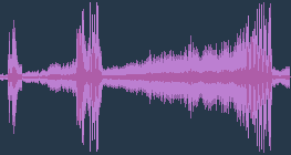 긴점박이올빼미